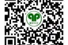 专业教师教授中小学及成人华文课程