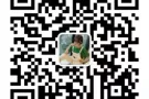 广州深圳一手中高端时尚服饰批发零售