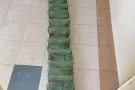 抓鱼神器