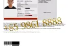 美国签证~ 新加坡送签·代填表+代缴费+代预约+全国受理+扫一扫加微信