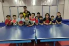 乒乓球训练班长期招生！在金文太 璧山和实龙岗 有可以咨询我！