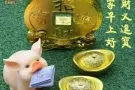 按摩一条龙