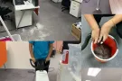专业洗地毯，窗帘，床垫.沙发。电86850345