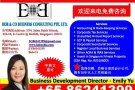 新加坡专业会计，税务，秘书,注册开新公司服务