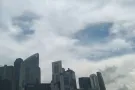 求职 女