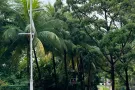 sembawang MRT 普通房搭房/ 客厅一人