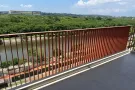 招聘看护