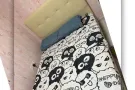 Punggol 有房出租 604B（欢迎夫妻，情侣，两位女生）