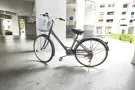女士永久牌自行车，