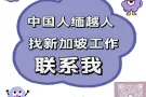 新加坡劳务，一对一专业指导配单，不成功全额退费