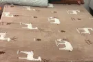 三巴旺普通房