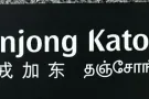 丹戎加东私人排屋，有女床位出租。