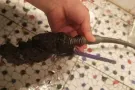 专业24小时服务 专业水电 安装 油漆 维修 疏通各种下水管道 价格合理 80841666