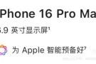 苹果16 pro max 256gb 沙漠金