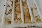 认真细致保洁可以擦外面玻璃