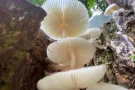动物园门票