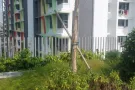 勿洛地铁站附近招男搭房，报本屋制造业服务业地址