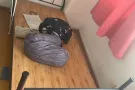 单人床和床垫