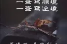 证寻单纯伴侣