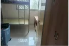 义顺大牌713，男搭房2人间出租
