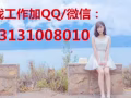 酒吧服务生 月薪2400-4000  招聘QQ/微信：3131008010 