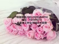 4.5号司机新加坡劳务一手单自家单收费低QQ2608694056