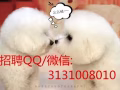 数控车床 磨床 铣床 加办理微信3131008010 查看更多数控好单