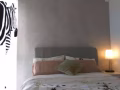 新公寓普通房出租