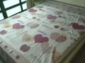 普通房出租