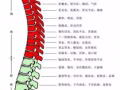 正規按摩中式指壓，上門服務