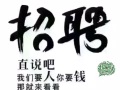一手订单，收费15000-24000，不成功不收费，微信QQ2444716166
