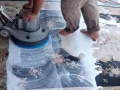 地毯 (carpet) 专业清洗服务