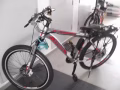 真正的兩用助力山地車