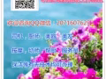 司机，美容，按摩，啤酒销售QQ微信：2071607625