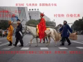 新加坡物流专线免费打包送货上门