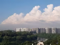 盛港普通房出租（全屋精装修，大客厅，公园景，可煮）