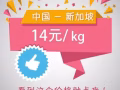 中國---新加坡2天到