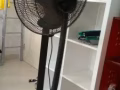便宜出售二手電風扇，大的30，小的5新。