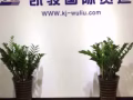 中國至新加坡10年空海運門到門，包清關，包派送 一手大莊 400RMB每立方