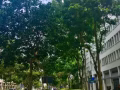 中介公司直招业务员