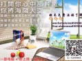 E世代，網絡科技，賺錢的最佳時機