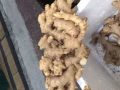  純正文冬姜/姜粉/薑片/薑茶//微信/whatsapp84270875