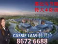 多美歌地铁站Sophia Hills附近黄金地段市区理想位置！双钥匙可选！好投资