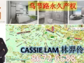 全新楼盘永久产权价格从86万起！回报率好！靠近乌节路ION！Taka义安城313