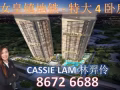 女皇镇新楼盘1分钟地铁站优质地点高楼单位植物园风景线特大4卧房DempseyRd