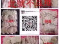 新加坡批发 零售 纯天然燕窝。来自印尼当地燕屋的燕窝，一手货源，手工清洗，不刷胶