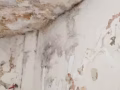 房屋漏水維修和防水維修