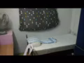 女隔間牛車水出租