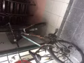 山地自行車
