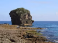 還你一個秋天！台灣7-8天環島游，拜日拜一出發，雙人成行價格親民！
